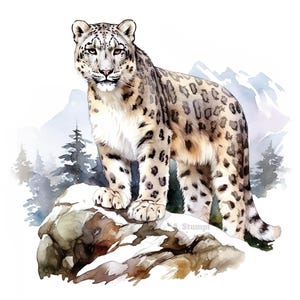 Conjunto de 10 imágenes prediseñadas de leopardo de las nieves, pintura digital con acuarela, ilustración de aventuras de vida salvaje de grandes felinos salvajes, paquete de imágenes prediseñadas de animales exóticos de montaña