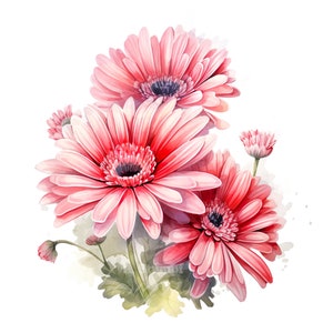 10 Gerbera Flores Clipart Conjunto Digital Aquarela Pintura Botânica Buquê Floral Ilustração Pétalas Clip Art Pacote Flores Decoração