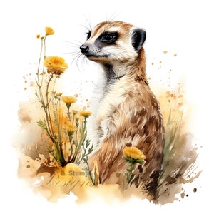 10 stokstaartje clipart set digitale aquarel schilderij safari dieren illustratie schattig zoogdier graphics schattig African Wildlife Clip Art bundel