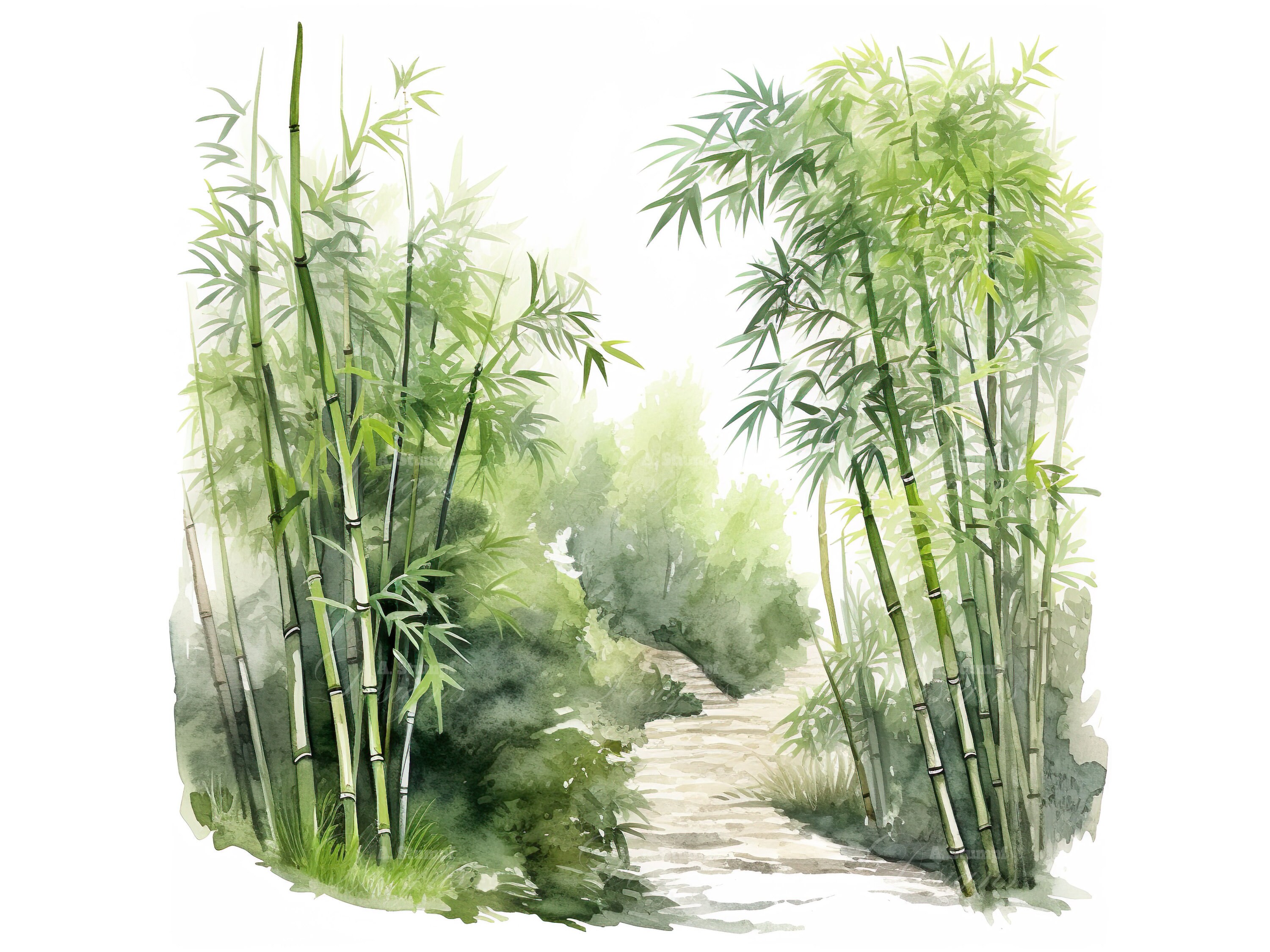 Bamboo Forest Clipart Set Nature Scene Graphics Digital Watercolor Art ...