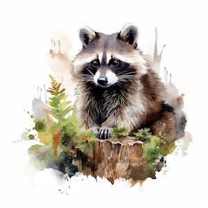 10 imágenes prediseñadas de mapache, pintura de acuarela digital, ilustración de animales del bosque, linda guardería, decoración de habitación de niños, baby shower, imágenes prediseñadas de naturaleza