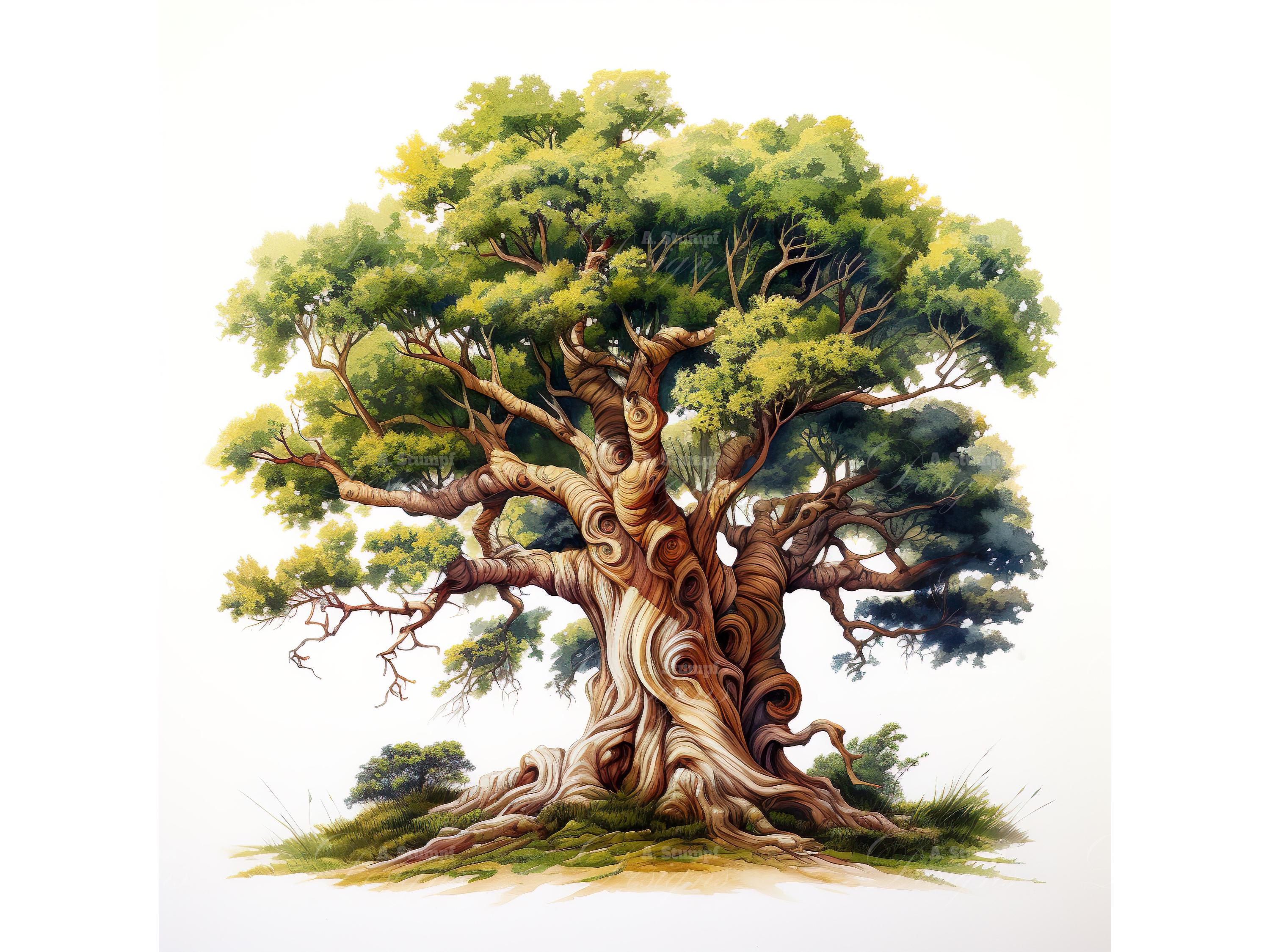 10 Mythical Tree Clipart Set Fantasy Tree Images Enchanted Forest ...