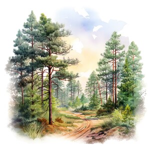 Ensemble de 10 cliparts forêt de pins paysage scène numérique aquarelle bois, peinture arbres à feuilles persistantes Illustration nature rustique Clip Art Bundle