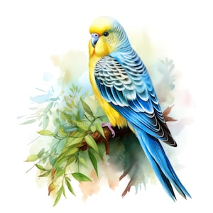 Conjunto de 10 imágenes prediseñadas de periquitos, pintura digital en acuarela, periquitos, vida silvestre, aves tropicales, animales exóticos salvajes, ilustración, paquete de imágenes prediseñadas de periquitos