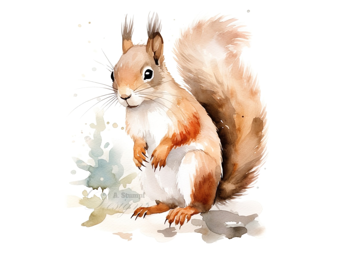 Squirrel clipart digital watercolor cute graphics nature illustrations