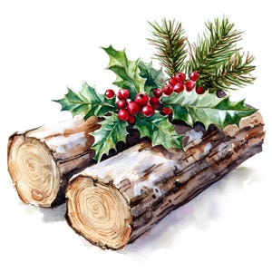 10 gui et houx sur des bûches de pin ensemble de cliparts, aquarelle numérique, décoration de Noël, illustration, clipart botanique d'hiver
