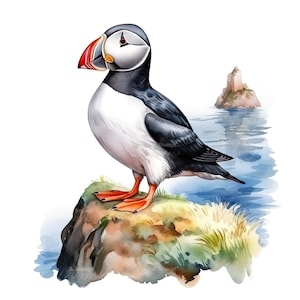 Conjunto de 10 imágenes prediseñadas de frailecillos atlánticos, pintura digital de aves marinas con acuarela, ilustración de vida silvestre costera del océano, paquete de imágenes prediseñadas de observación de aves naturales