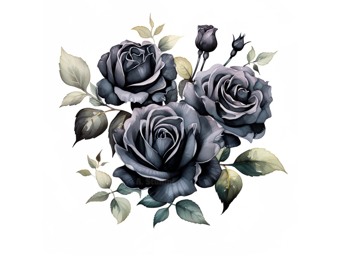 10 Black Roses Clipart Set Digital Watercolor Painting Floral Botanical ...