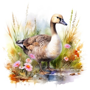 Conjunto de 10 imágenes prediseñadas de ganso, pintura digital con acuarela, ilustración de animales de granja, gráficos de aves campestres, decoración de campo, paquete de imágenes prediseñadas de naturaleza