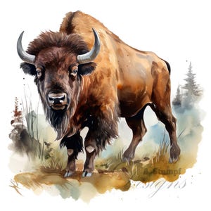 Lot de 10 cliparts de bisons sauvages à l'aquarelle numérique, peinture sur la nature, illustration d'animaux américains, buffles, paysage de prairie, faune, clipart