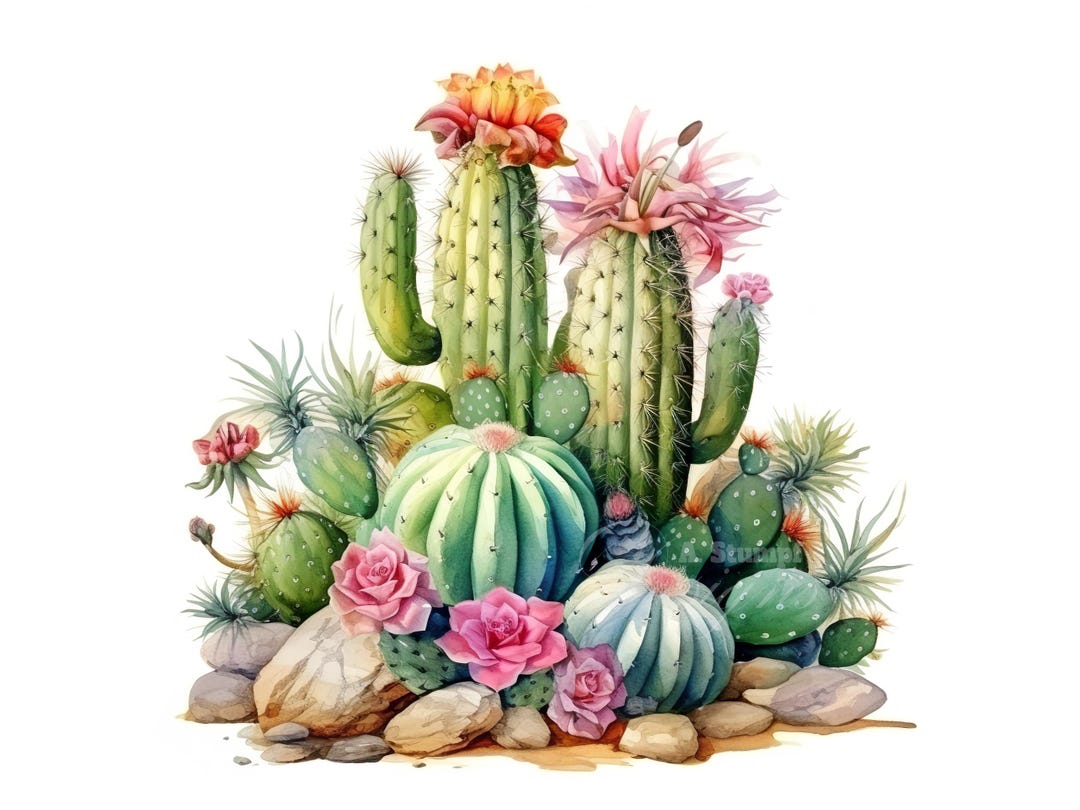 10 Cactus Clipart Set Digital Watercolor Painting Botanical Floral ...