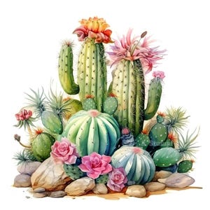Ensemble de 10 cliparts cactus peinture aquarelle numérique Illustration florale botanique désert scène de nature plante tropicale succulente Clip Art Bundle