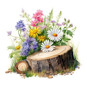 10 fleurs sauvages sur bûche, clipart floral rustique, ensemble d'illustrations botaniques, ensemble d'illustrations botaniques, décoration de la nature et des plantes, éléments forestiers