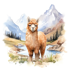 Ensemble de 10 cliparts alpaga, aquarelles numériques, illustrations d'animaux de la ferme, thème country, ensemble de cliparts Nature sauvage d'Amérique du Sud