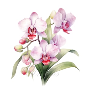 Lot de 10 cliparts fleur d'orchidée aquarelle imprimable Art mural floral, décoration de mariage, peinture botanique, décoration florale, bricolage, image de scrapbooking