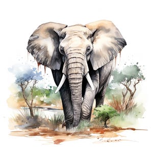 Juego de 10 imágenes prediseñadas de elefantes, pintura digital con acuarela, ilustración de animales de la jungla de safari africano, paquete de imágenes prediseñadas de vida silvestre, decoración de habitación de niños