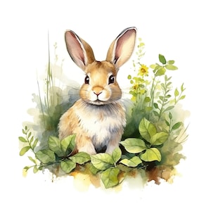 Conjunto de 10 imágenes prediseñadas de conejos para guardería, pintura de acuarela digital, ilustración de animales de granja y bosque, paquete de imágenes prediseñadas de conejito de naturaleza salvaje
