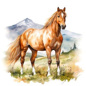 Juego de 10 imágenes prediseñadas de caballos salvajes, pintura de acuarela digital, ilustración de animales de granja, imágenes prediseñadas de campo, regalo para amantes de los caballos, diseño de arte mural de caballos