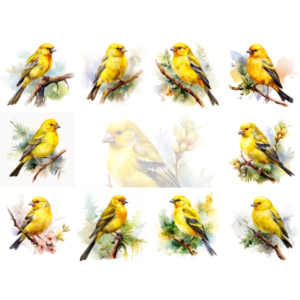 Canary Clipart Set - 10 High Quality JPGs, Animal drawing, Watercolor pet, Printable canary, Nature decor, Bird art, Digital bird, Wall Art