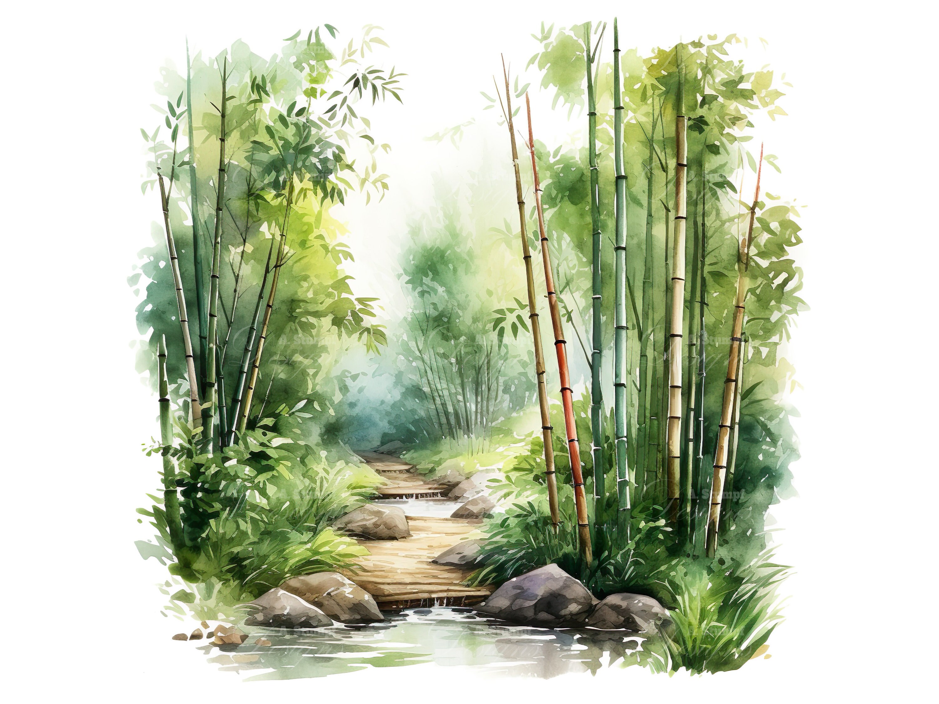 Bamboo Forest Clipart Set Nature Scene Graphics Digital Watercolor Art ...