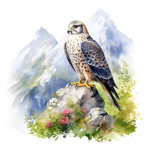 Conjunto de 10 imágenes prediseñadas de halcón, pintura de acuarela digital, ilustración de escena de ave depredadora salvaje, animales salvajes, naturaleza salvaje, paquete de imágenes prediseñadas