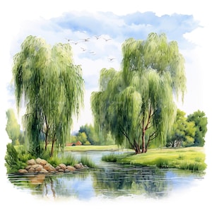 Conjunto de 10 imágenes prediseñadas de árboles de sauce, pintura de paisajes en acuarela digital, ilustración de plantas, paquete de imágenes prediseñadas botánicas, decoración del hogar de la naturaleza imprimible