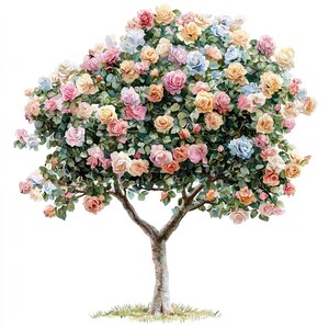 10 set di clipart di rose, pittura digitale di fiori ad acquerello, illustrazione di design floreale, grafica botanica, bundle di clipart di decorazioni per giardini