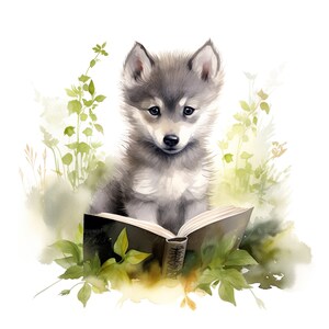 10 Baby Wolf, der ein Buch liest Clipart-Set Digitales Aquarell Gemälde niedlichen Waldtier Illustration Kindergarten entzückende Clip Art Bundle