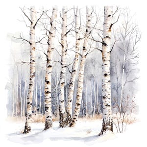 Lot de 10 cliparts de paysage d'hiver de bouleau, peinture aquarelle numérique, illustration de forêt enneigée, scène de nature boisée, clipart