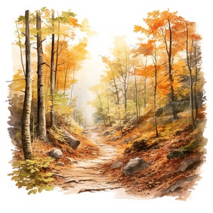 10 Herbst Wald Wandern Weg Clipart Aquarell Natur Gemälde Outdoor Landschaft Illustration Herbst Wildnis Grafik Clip Art Bundle
