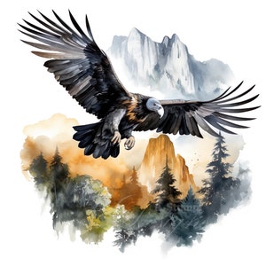 Conjunto de 10 imágenes prediseñadas de cóndores voladores, pintura de acuarela digital, paquete de imágenes prediseñadas de aves de montaña exóticas, ilustración inspirada en la naturaleza y la vida silvestre