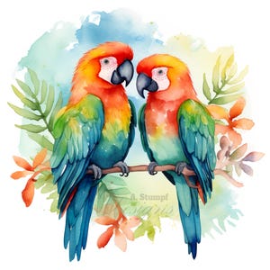 10 perroquets couple amoureux Clipart ensemble aquarelle numérique romantique oiseaux tropicaux exotiques Clip Art Bundle inséparable Duo Illustration