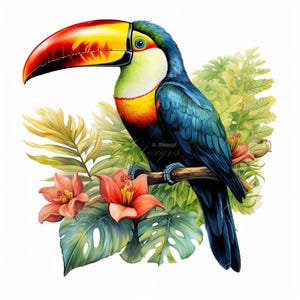 Conjunto de 10 imágenes prediseñadas de tucán, pintura digital con acuarela, ilustración de aves tropicales, animales de la selva tropical, paquete de imágenes prediseñadas de vida silvestre exótica