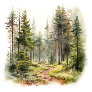 Lot de 10 cliparts de paysage de forêt de conifères, peinture aquarelle numérique, illustration d'arbre à feuilles persistantes, décoration de la nature boisée, clipart