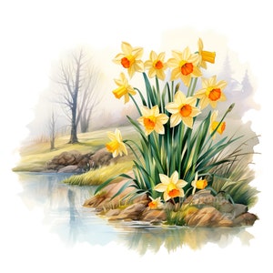 Ensemble de 10 cliparts jonquille numérique aquarelle fleurs peinture fleurs printanières en fleurs Clip Art Bundle Floral jardin botanique illustration
