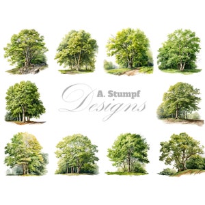 Set di clipart di faggio, bundle di clipart ad acquerello, stampe artistiche da parete stampabili, grafica per album di ritagli, artigianato digitale, set di cancelleria, decorazioni per la casa