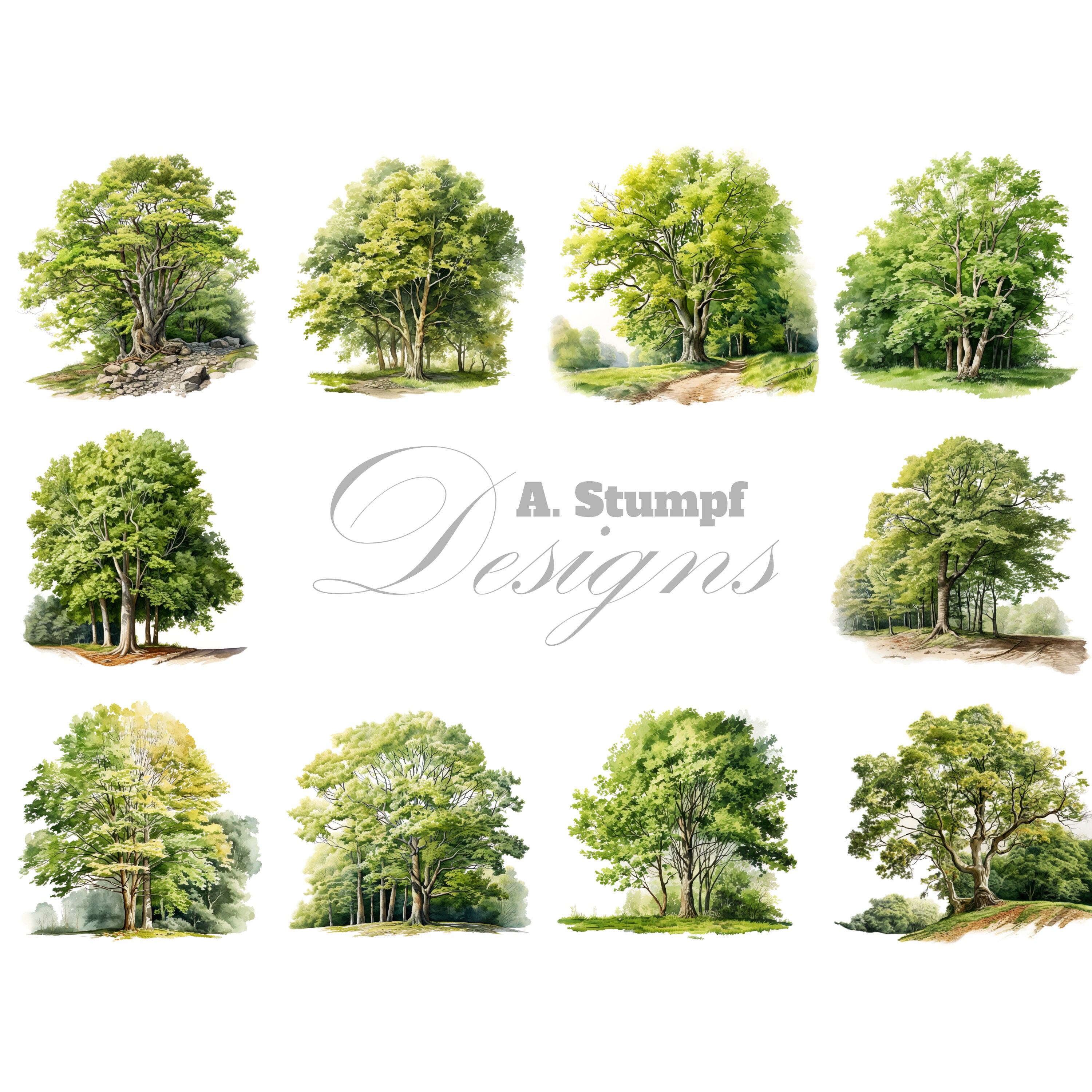Beech Tree Clipart Set Watercolor Clip Art Bundle Printable Wall Art ...