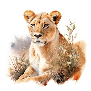 10 set di clipart di leonesse, pittura ad acquerello digitale, safari, animali, predatori africani, illustrazione, savana, giungla, fauna selvatica, clip art, bundle