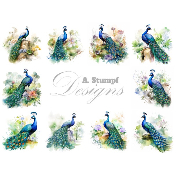 Watercolor Peacock Clipart Set Bird Clipart Bundle Peacock Bird Watcher Gift Wall Art Illustration Digital Scrapbooking Supplies Clip Art