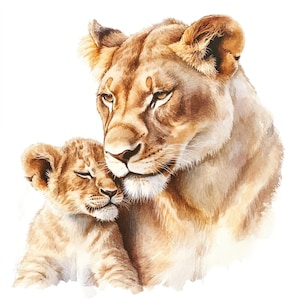 10 leeuwin moeder liefde baby leeuw welp clipart set Wildlife katachtige familie illustratie wilde safari dierenafbeeldingen grote kat clip art bundel