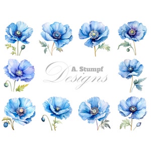 Paquete de imágenes prediseñadas de amapola azul, acuarela, imágenes prediseñadas florales, elegantes flores, arte de pared imprimible, arte de flores, decoración del hogar, hermosas flores