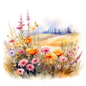 Conjunto de 10 imágenes prediseñadas de paisaje de campo de flores silvestres, pintura digital de naturaleza con acuarela, ilustración de prado floral, imágenes prediseñadas de paisaje de flores de verano