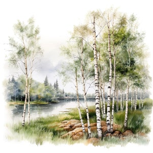 Conjunto de 10 imágenes prediseñadas de paisajes de bosques de abedules, pinturas de acuarela digitales, imágenes prediseñadas de la naturaleza, ilustración de escenas de bosques, hermosa decoración de abedules