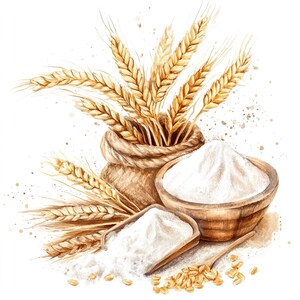 10 set di clipart di farina di grano e steli dorati, pittura ad acquerello digitale, illustrazione del raccolto, grafica di campagna, bundle di clipart di piante agricole
