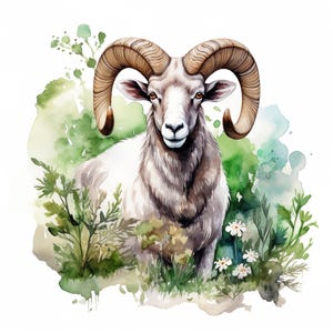 Conjunto de 10 imágenes prediseñadas de carnero, pintura de acuarela digital, ilustración de animales de granja con cuernos, gráficos de ovejas de montaña, imágenes prediseñadas de vida silvestre de granja