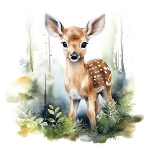 10 set di clipart di cerbiatti carini, acquerello digitale, pittura di cuccioli di cervo, illustrazione di animali del bosco, grafica di fauna selvatica della foresta, clip art della natura