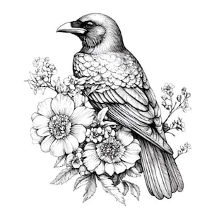 Ensemble de 10 cliparts Corbeau numérique animal noir et blanc dessin au crayon Floral gothique oiseau Illustration Corbeau esquisse forêt faune Clip Art