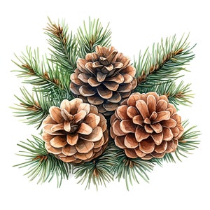 Juego de 10 imágenes prediseñadas de piñas, pintura de acuarela digital, ilustración inspirada en la naturaleza, elementos de decoración, imágenes prediseñadas de bosques, decoración de temporada