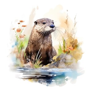10 rivierotter clipart set digitale aquarel schilderij wild water dier illustratie bos Wildlife graphics vijver natuur clip art bundel