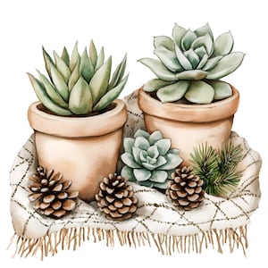 10 cliparts de plantes succulentes en pot, pommes de pin, couverture rustique, peinture numérique à l'aquarelle, illustration botanique confortable, hiver naturel, clipart